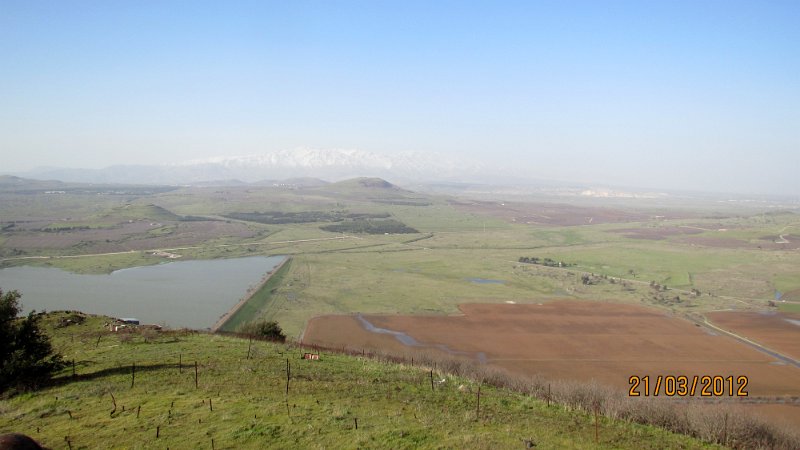 355 Mount Hermon.jpg